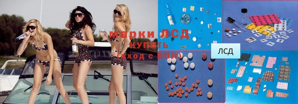 spice Володарск