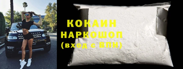 спайс Богданович