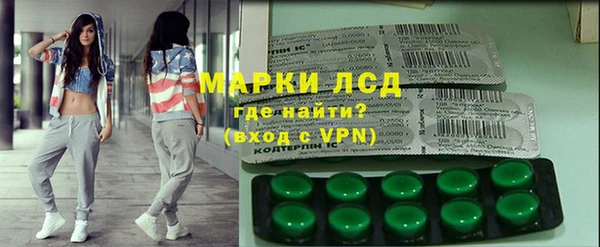 спайс Богданович