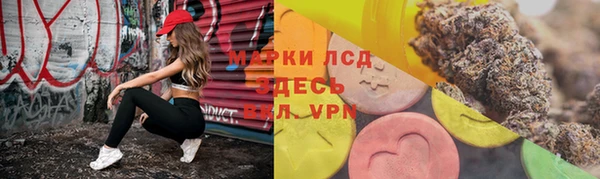 спайс Богданович
