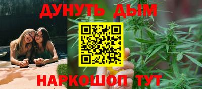 стафф Шелехов