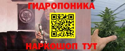 стафф Шелехов