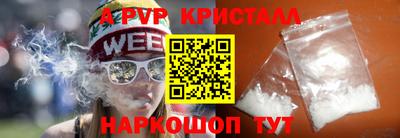 стафф Шелехов