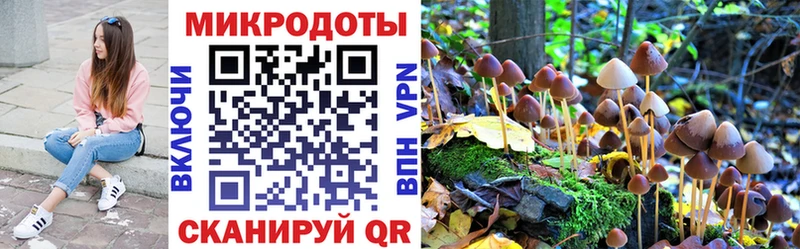Галлюциногенные грибы мицелий Надым