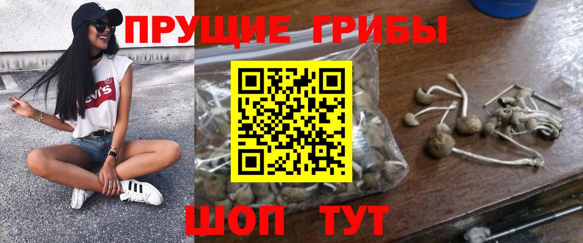 Надым  Галлюциногенные грибы ЛСД  Вход с VPN 